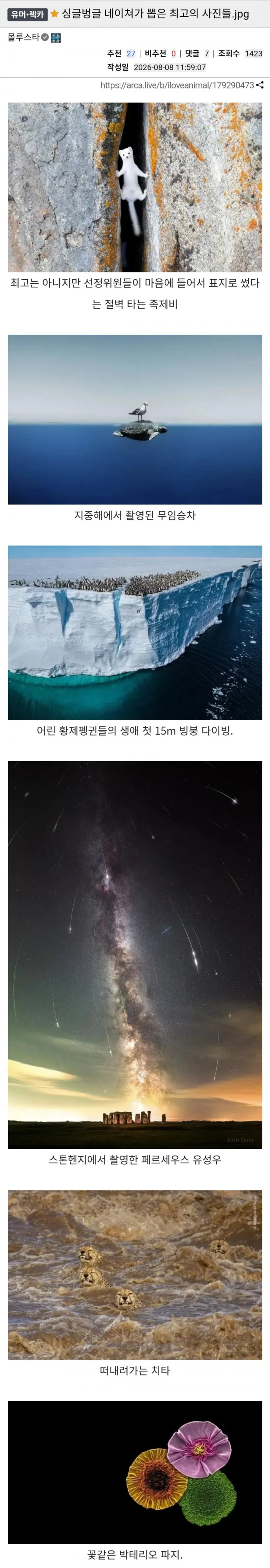 네이쳐가 뽑은 최고의 사진들