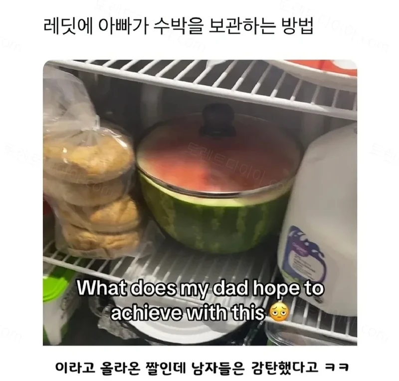 아빠가 수박을 보관하는 방법