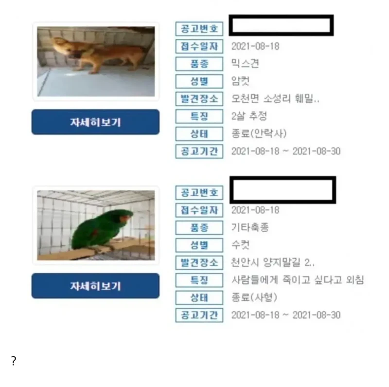 사형당한 앵무새의 마지막 멘트