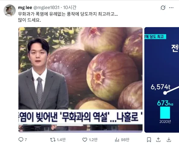 폭염이 빚어낸 무화과의 역설
