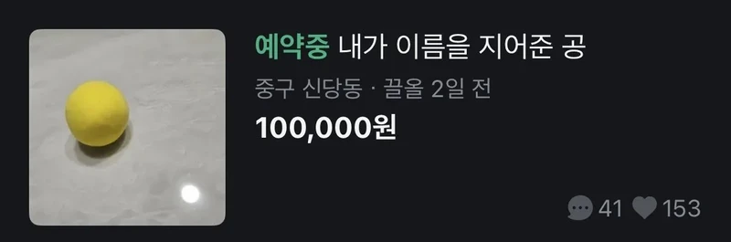 내가 이름을 지어준 공(당근마켓근황)