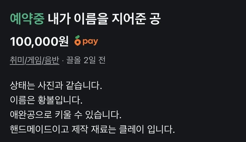 내가 이름을 지어준 공(당근마켓근황)-2