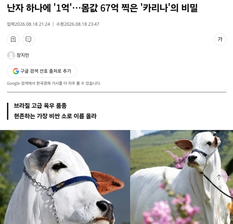 카리나 난자 하나에 1억원