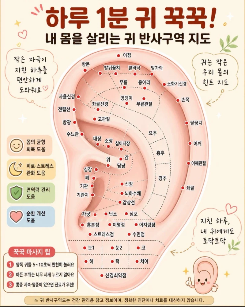 내 몸을 살리는 '귀 혈자리'완벽 지도