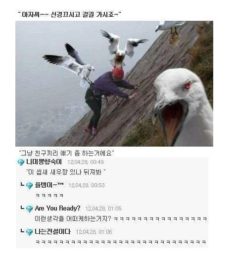 깡패 갈매기