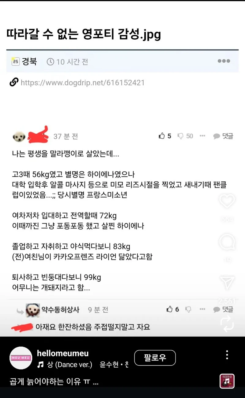 프랑스 미소년