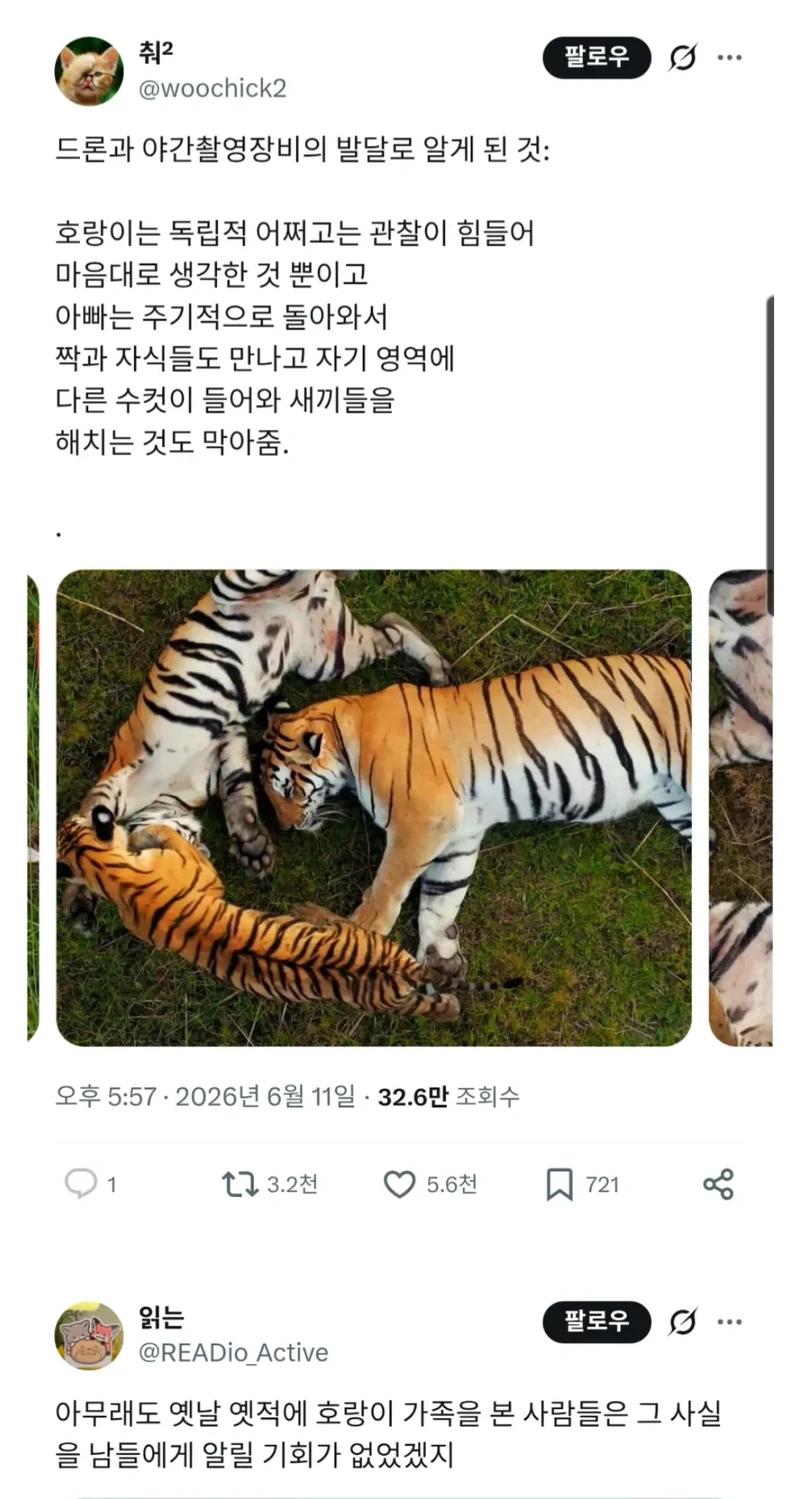 호랑이에 대해 밝혀진 새로운 사실