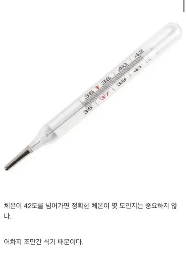 체온계는 왜 42도 밖에 없음?