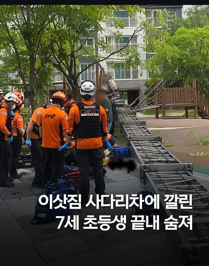 이삿짐 사디리차에 깔린 7세 초등학생 끝내 숨져