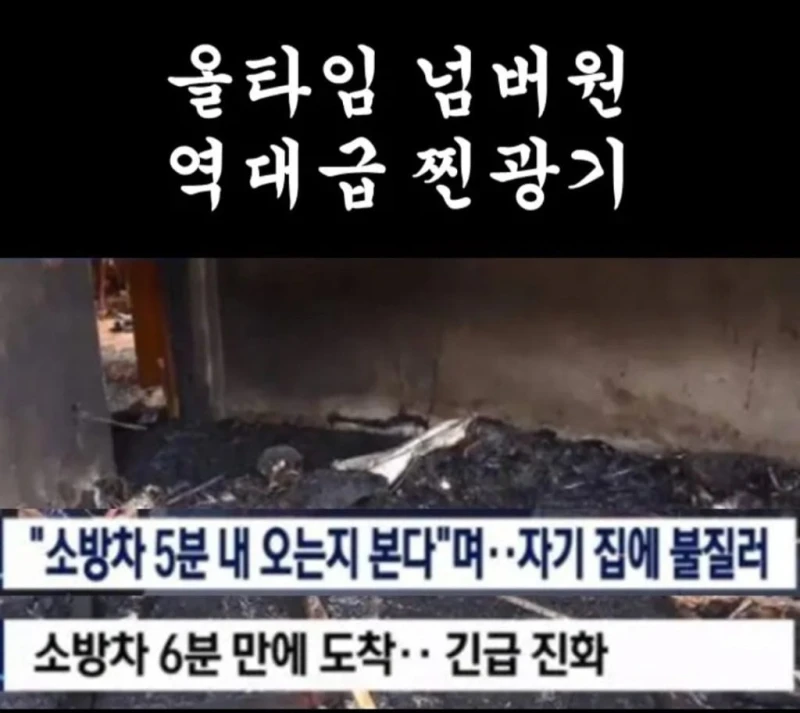 용자들