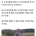 살기 위해 스스로 팔을 잘라낸 사람들
