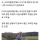살기 위해 스스로 팔을 잘라낸 사람들