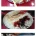 한 때 김밥천국만큼의 위세였던 분식집