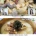 대구 경북식 떡국