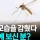요즘 안보이는것
