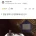 고의로 자기 팔 절단해 산업재해 꾸민 30대