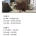 주식으로 240억 번 일본 할아버지의 비법