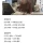 주식으로 240억 번 일본 할아버지의 비법