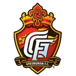 경남 FC 엠블럼