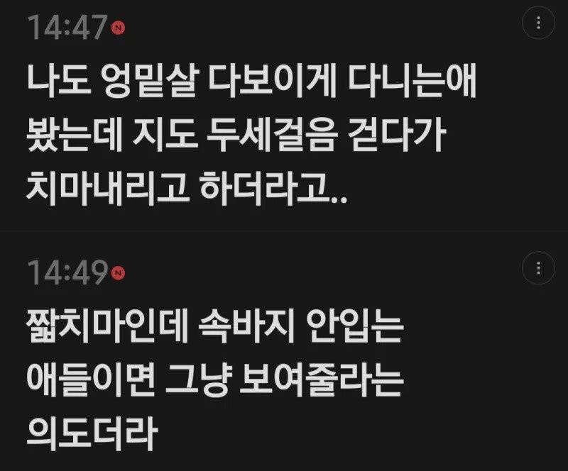 엉밑살 노출하는 여고생들을 보는 여초 회원들의 생각-4