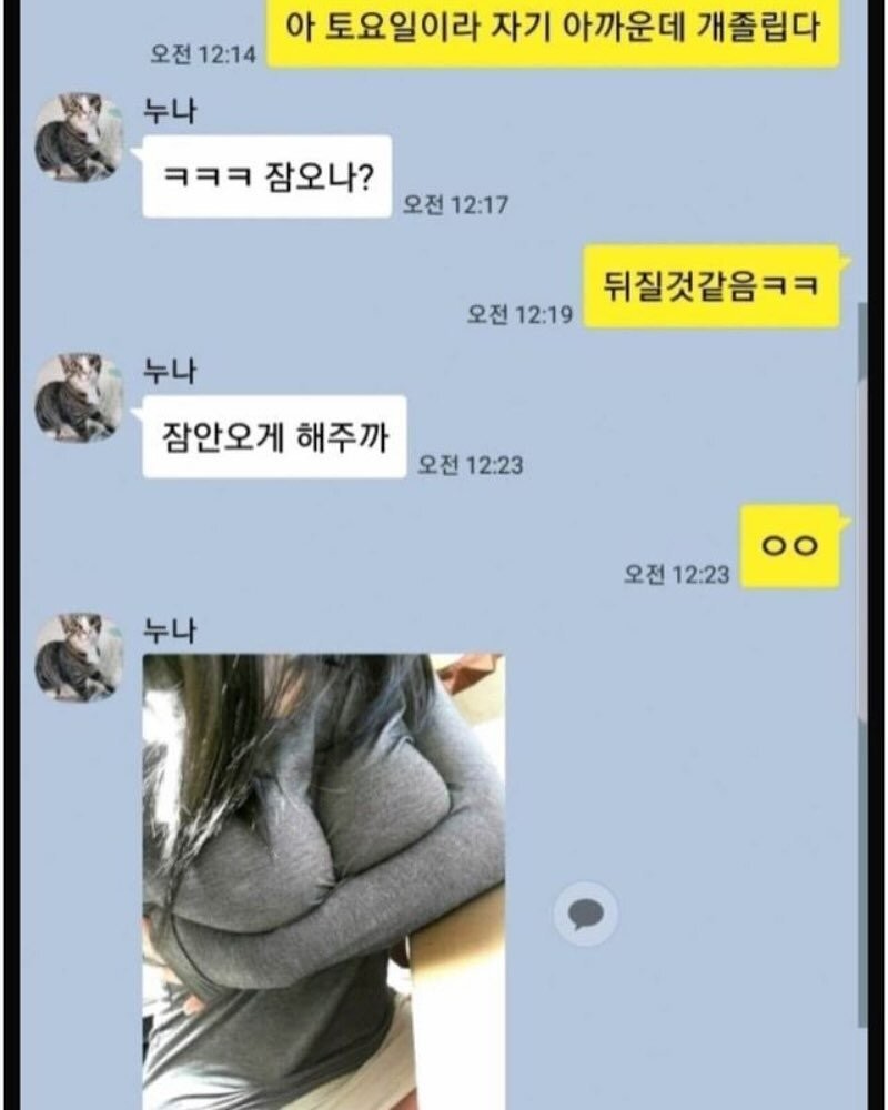잠안오게 해준다는 누나가 보내온 셀카 ㅗㅜㅑ