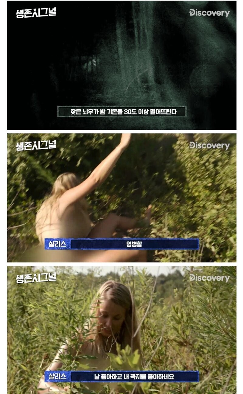 21일간 나체로 무인도에서 생존하는 남녀-7