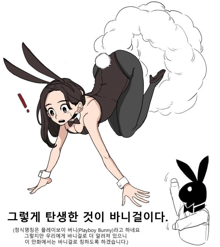 바니걸에 대해 알아보자-2