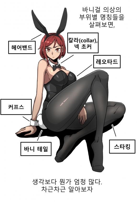 바니걸에 대해 알아보자-4