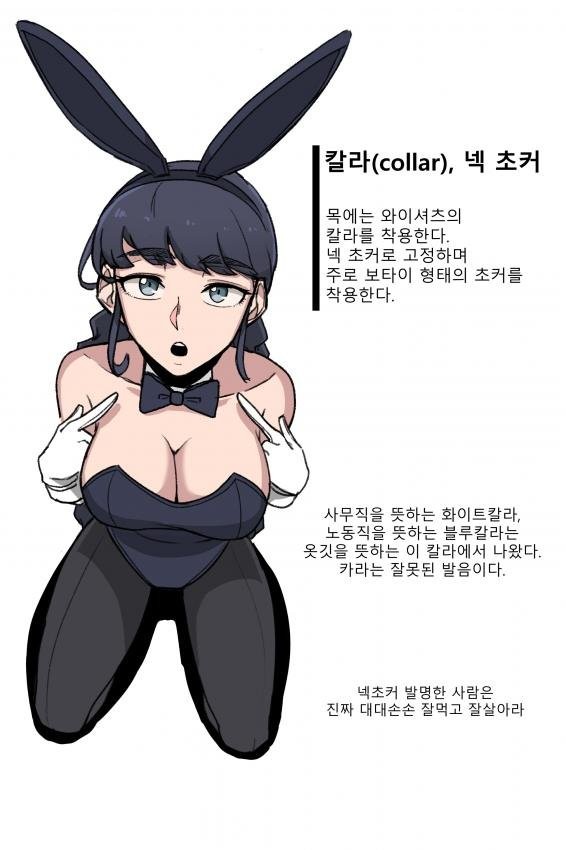 바니걸에 대해 알아보자-6