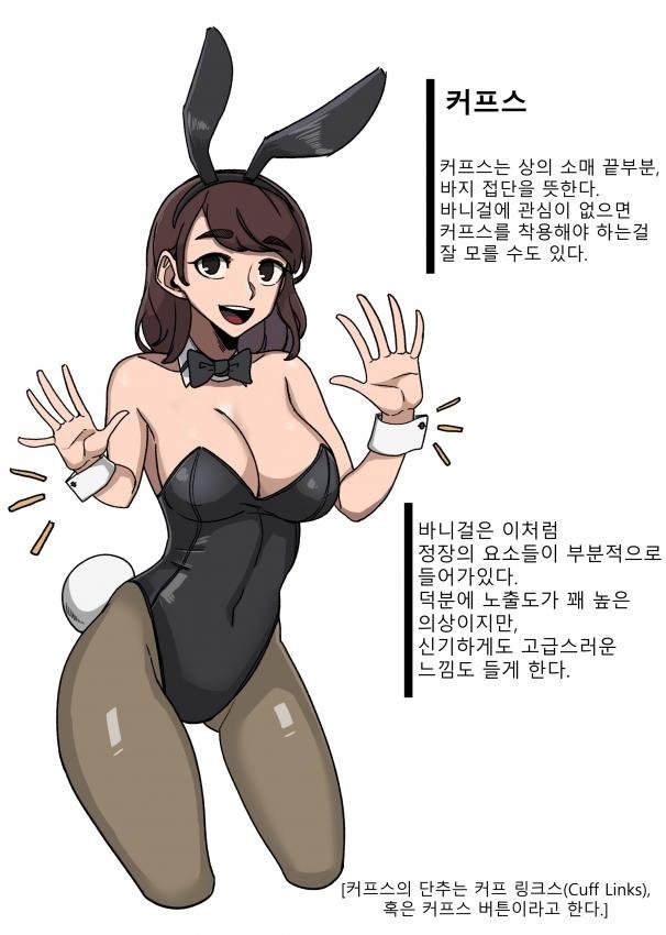 바니걸에 대해 알아보자-7