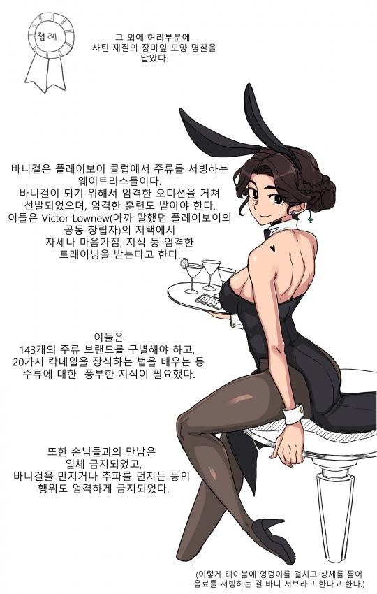 바니걸에 대해 알아보자-13