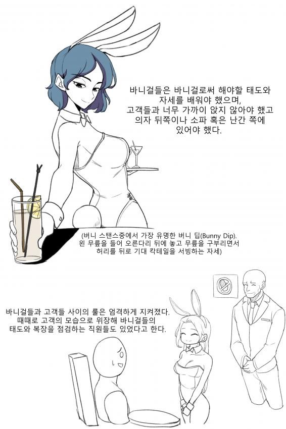 바니걸에 대해 알아보자-14