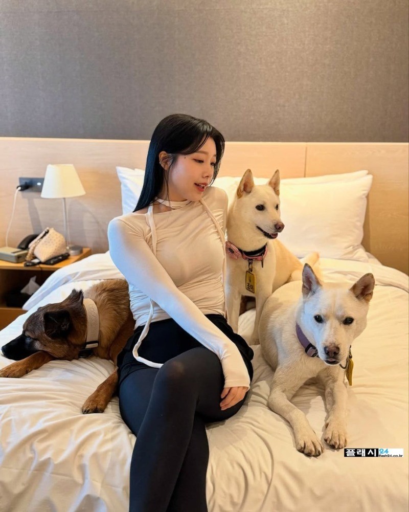 ㅇㅎ)개조이 DogJOY 강아지만 좋아하는게 아닌가봐-8