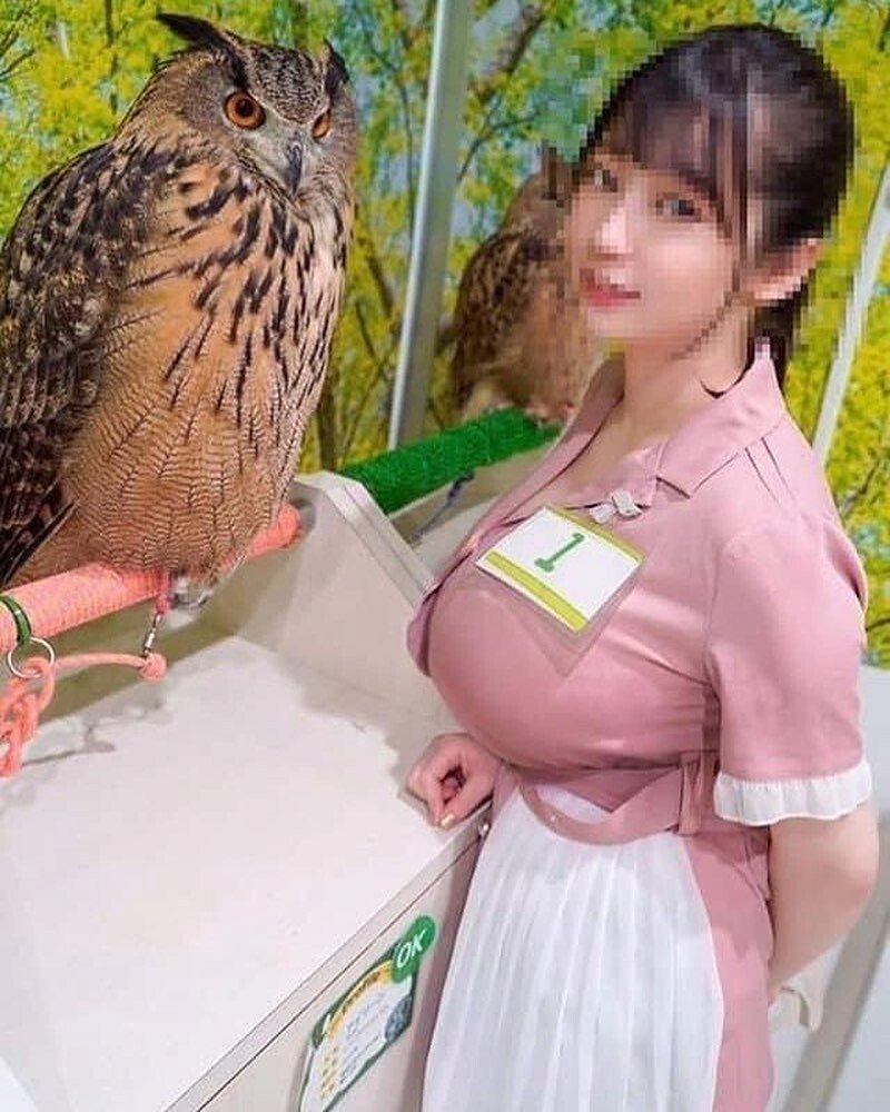 의외로 사람들이 잘 모르는 부엉이 실제 크기