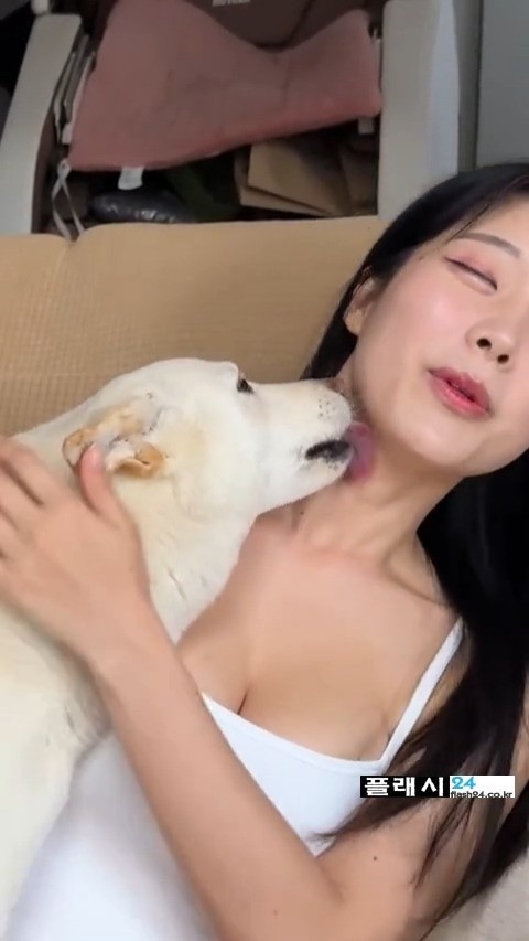개조이 여주인 핥는 진돗개-3