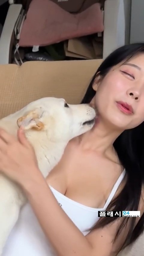 개조이 여주인 핥는 진돗개-5