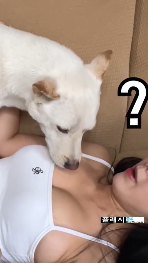 개조이 여주인 핥는 진돗개-6