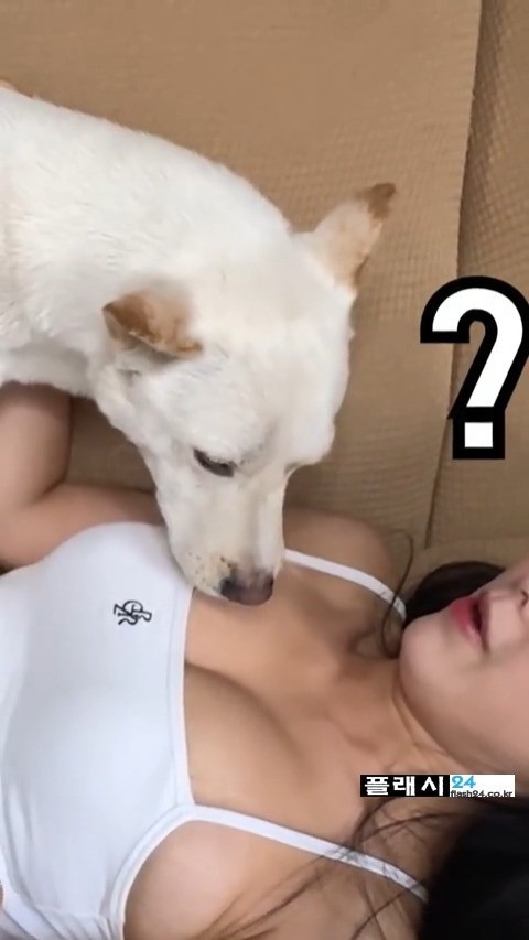 개조이 여주인 핥는 진돗개-8