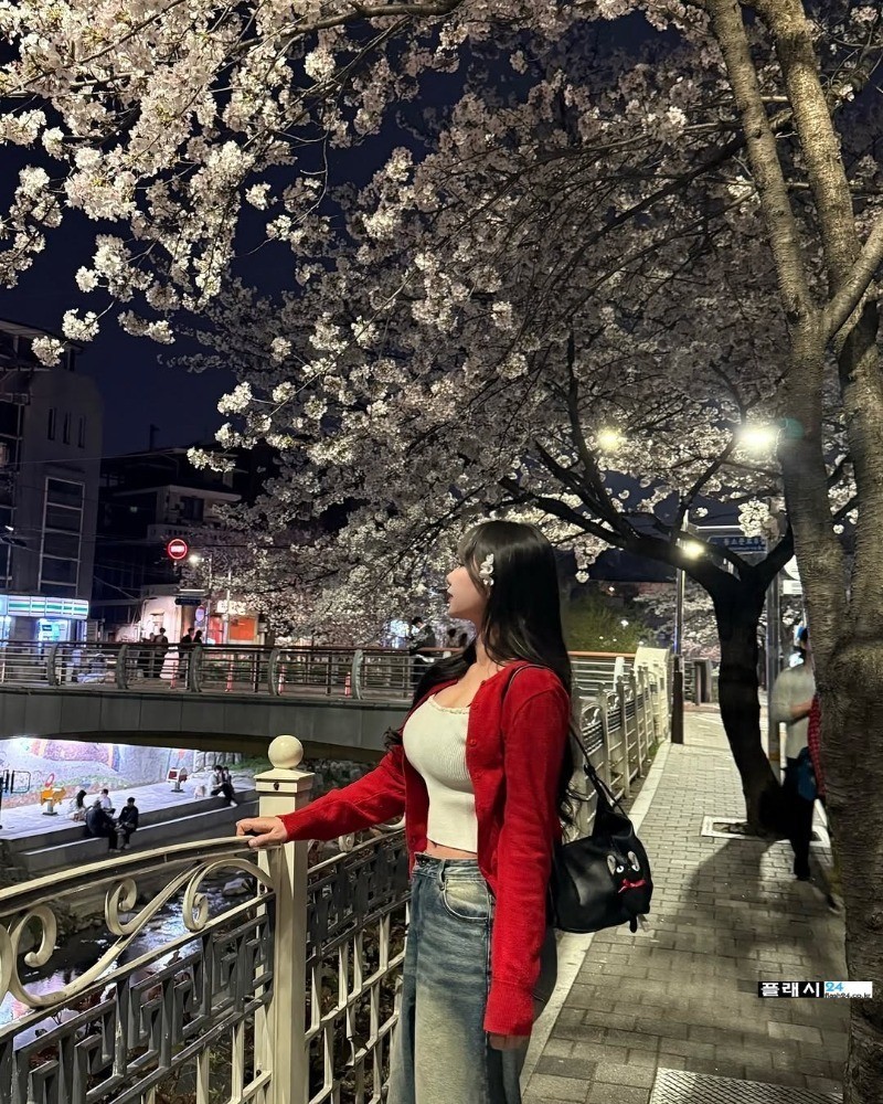 ㅇㅎ)누나랑 벚꽃 구경 꼭 하고 싶이요-12