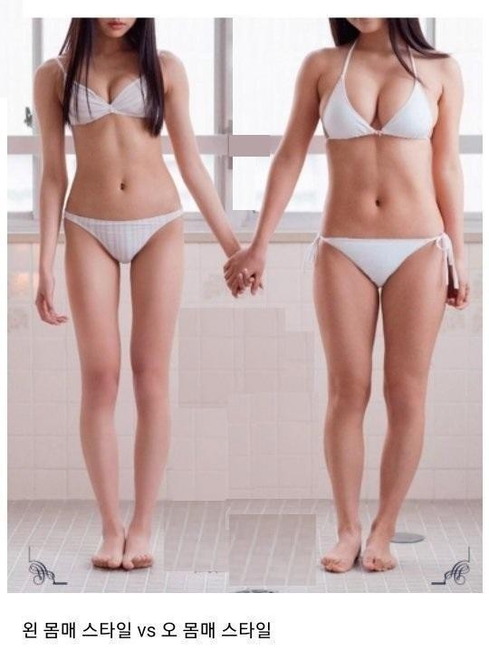 여자는 가슴이다 VS 골반이다