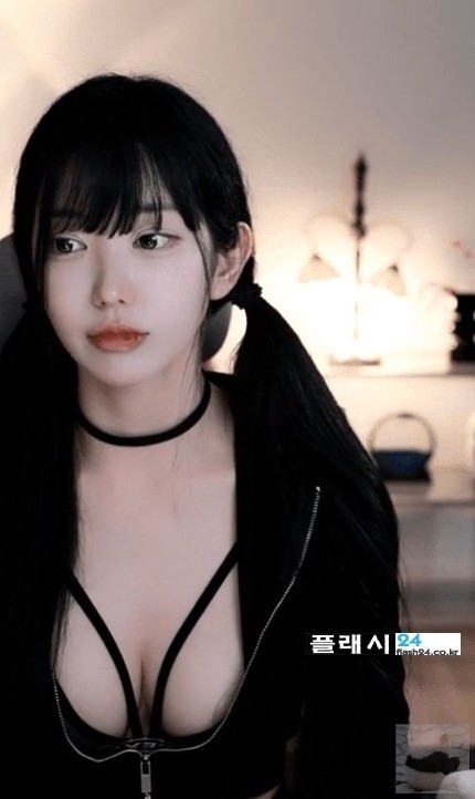 살짝 패치가 드러난 하니니