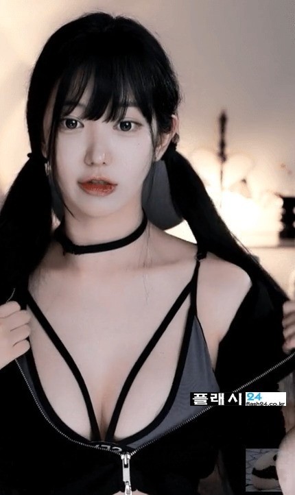 살짝 패치가 드러난 하니니-4