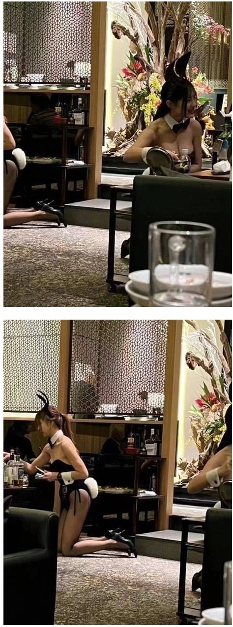 일본에 있다는 바니걸 카페