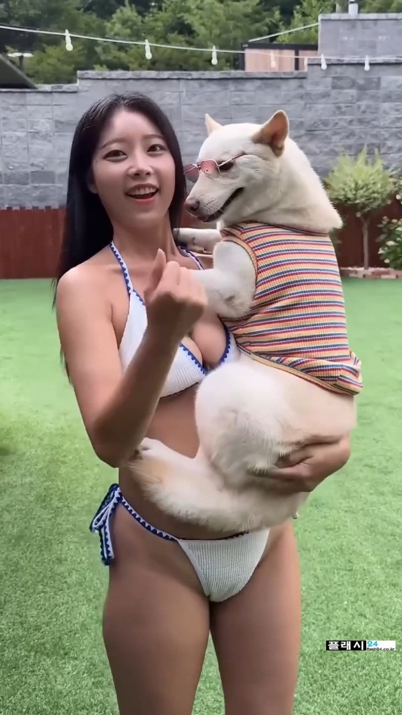 개조이 주인 강아지 이렇게 잘 키우나