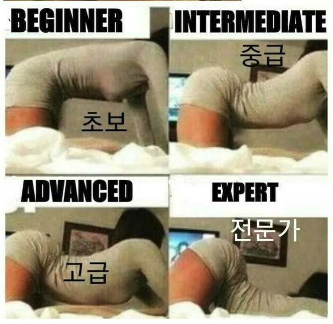 자세로 알아보는 여자의 야스력