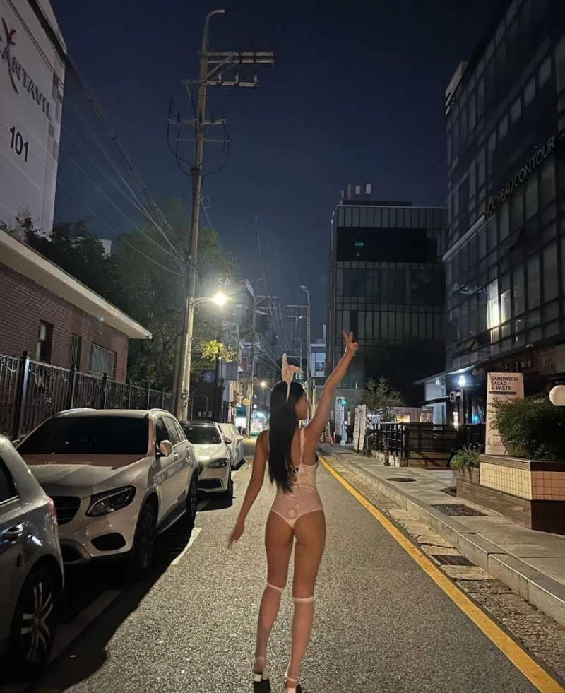 모델 시하-4