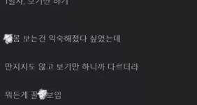 연차 쓰고 해야하는 폴리네시안 야스 후기