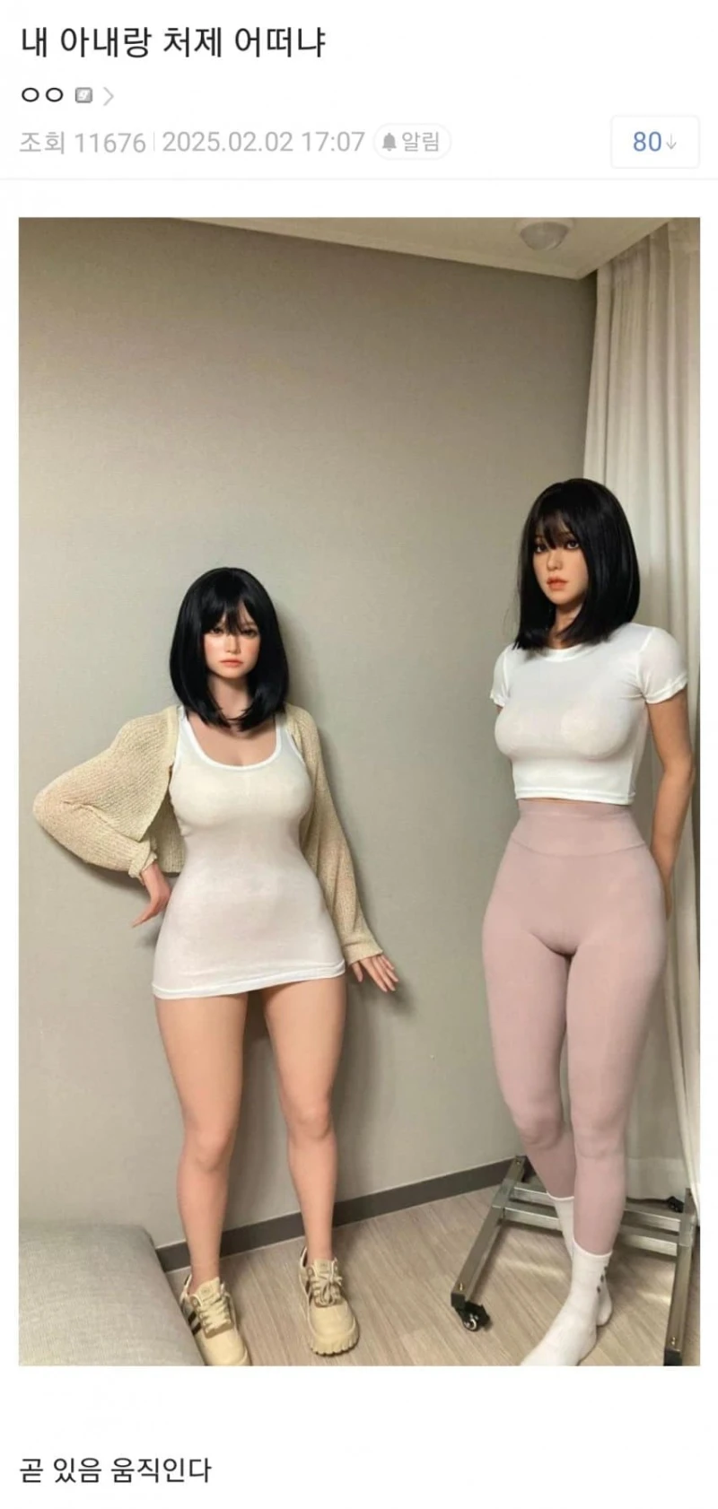 어느 ㅈ소갤러의 와이프와 처제