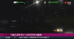 나이지리아 공짜 야스 파티 ㄷㄷㄷ