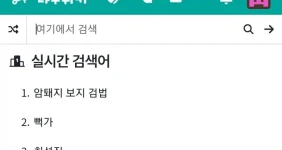 충격적인 나무위키 실검 1위 현황